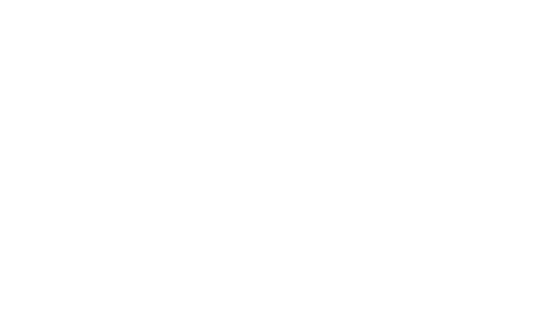 DUPLO